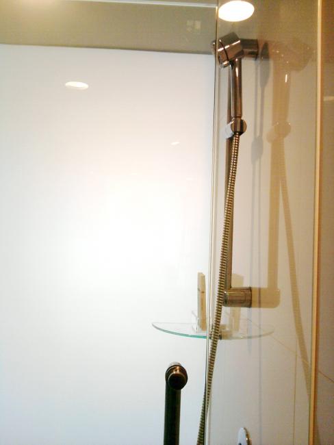 shower 1_resize.jpg